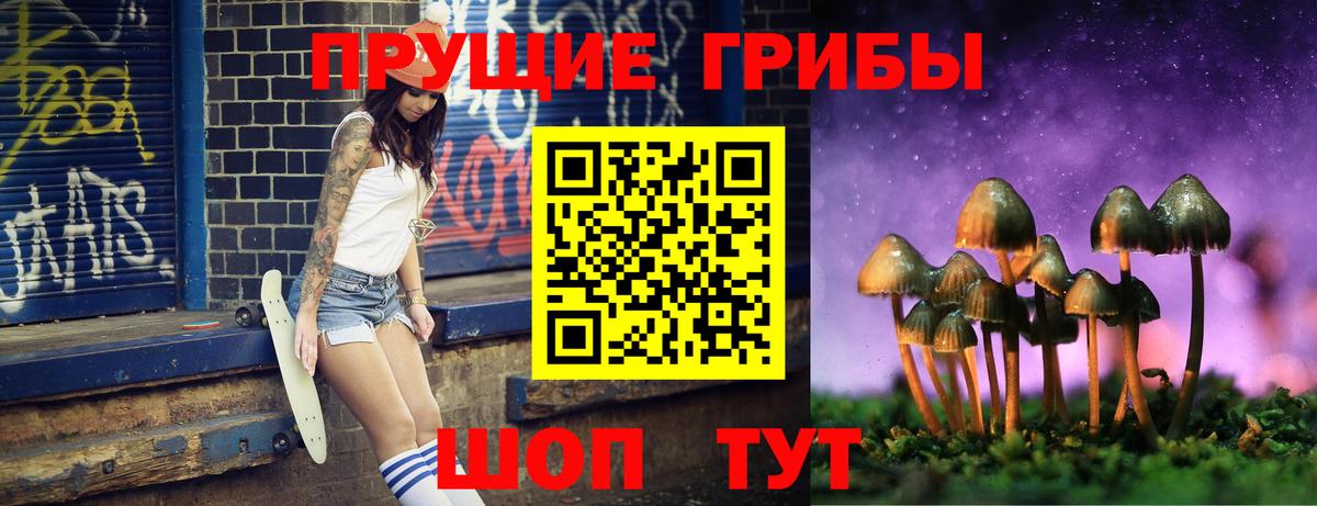Псилоцибиновые грибы мицелий Дивногорск