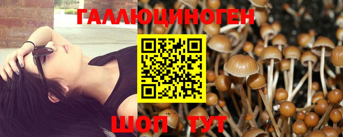 купить  сайты  Вход с VPN  Дивногорск  Псилоцибиновые грибы Magic Shrooms 